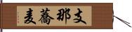 支那蕎麦 Hand Scroll