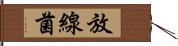 放線菌 Hand Scroll