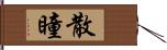 散瞳 Hand Scroll