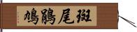 斑尾鵑鳩 Hand Scroll