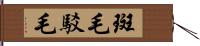 斑毛 Hand Scroll