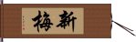 新梅 Hand Scroll