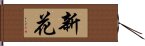 新花 Hand Scroll