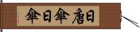 日唐傘 Hand Scroll