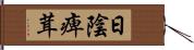 日陰痺茸 Hand Scroll