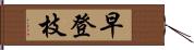 早登枝 Hand Scroll