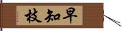 早知枝 Hand Scroll