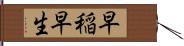 早稲 Hand Scroll