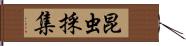 昆虫採集 Hand Scroll