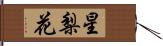 星梨花 Hand Scroll