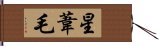 星葦毛 Hand Scroll