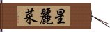 星麗菜 Hand Scroll