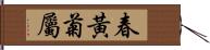 春黃菊屬 Hand Scroll