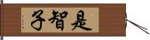 是智子 Hand Scroll