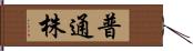 普通株 Hand Scroll