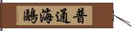 普通海鷗 Hand Scroll