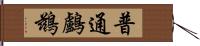 普通鸕鶿 Hand Scroll