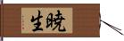 暁生 Hand Scroll