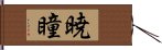 暁瞳 Hand Scroll