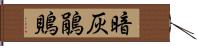 暗灰鵑鵙 Hand Scroll