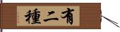 有二種 Hand Scroll