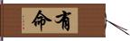 有命 Hand Scroll