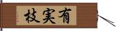 有実枝 Hand Scroll