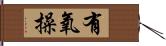 有氧操 Hand Scroll