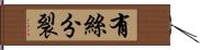 有絲分裂 Hand Scroll