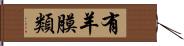 有羊膜類 Hand Scroll