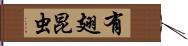 有翅昆虫 Hand Scroll