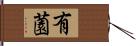 有薗 Hand Scroll