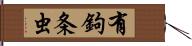 有鉤条虫 Hand Scroll