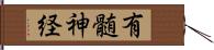 有髄神経 Hand Scroll