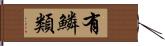 有鱗類 Hand Scroll