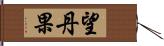 望丹果 Hand Scroll