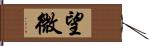 望微 Hand Scroll