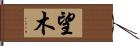 望木 Hand Scroll