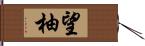 望柚 Hand Scroll