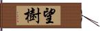 望樹 Hand Scroll