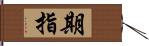 期指 Hand Scroll