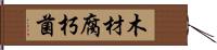 木材腐朽菌 Hand Scroll