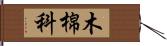 木棉科 Hand Scroll