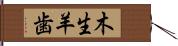 木生羊歯 Hand Scroll