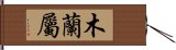 木蘭屬 Hand Scroll