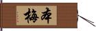 本梅 Hand Scroll