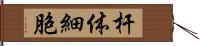 杆体細胞 Hand Scroll