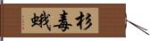 杉毒蛾 Hand Scroll