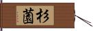 杉薗 Hand Scroll