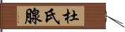 杜氏腺 Hand Scroll